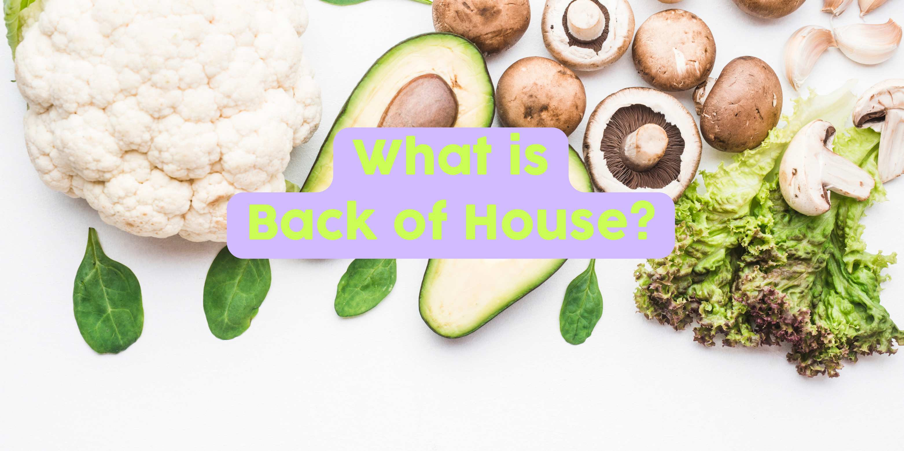 What is Back of House?