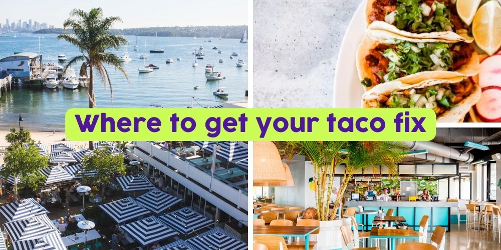 Where to get your taco fix this International Taco Day