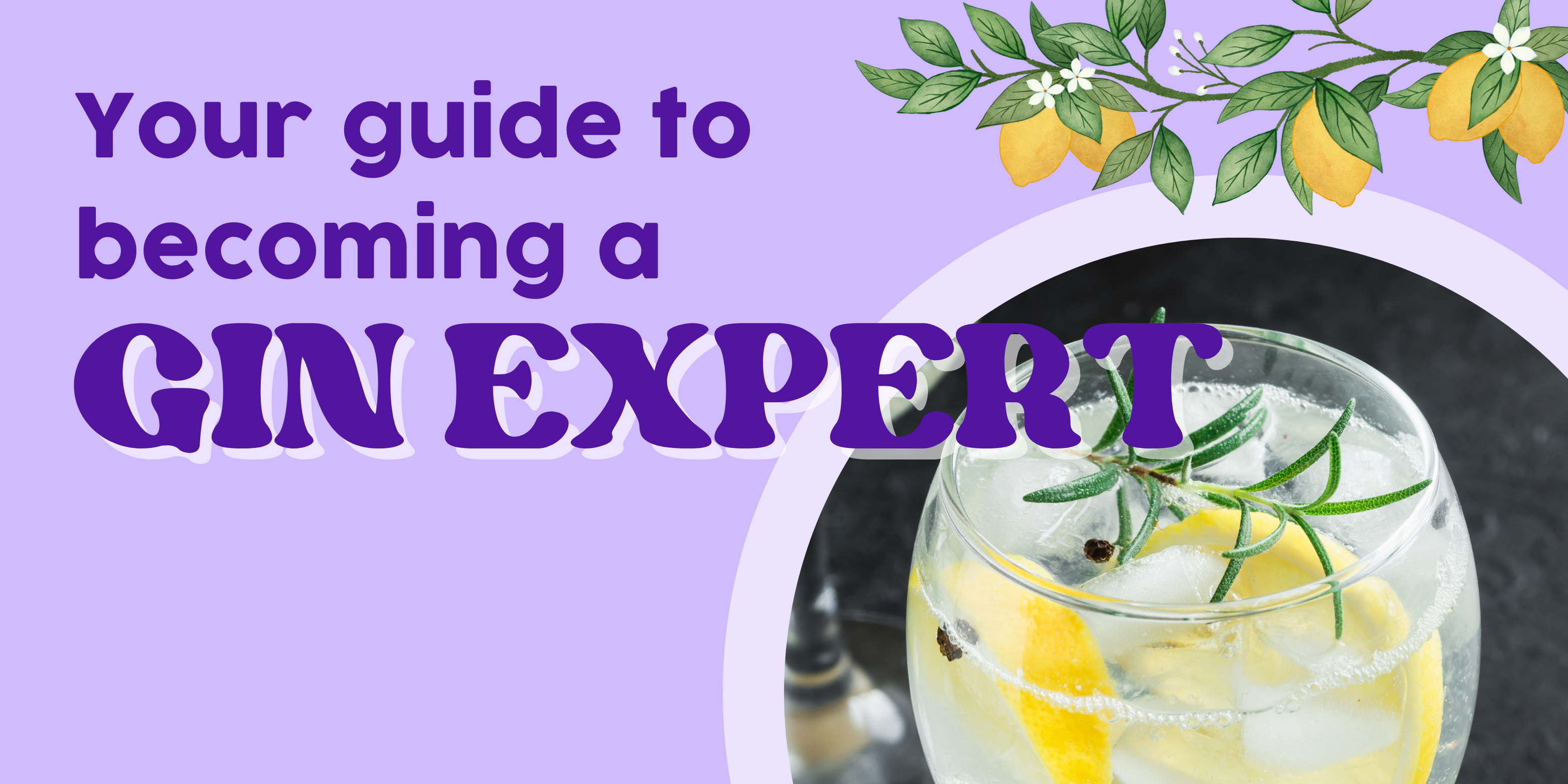 Your Guide to Becoming a Gin Expert