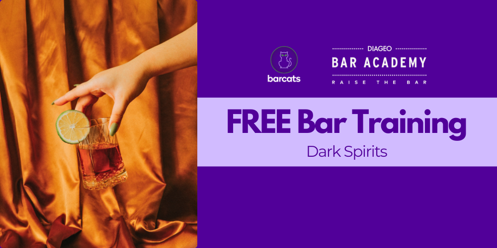 FREE BAR Training 2025 | Dark Spirits with Upselling