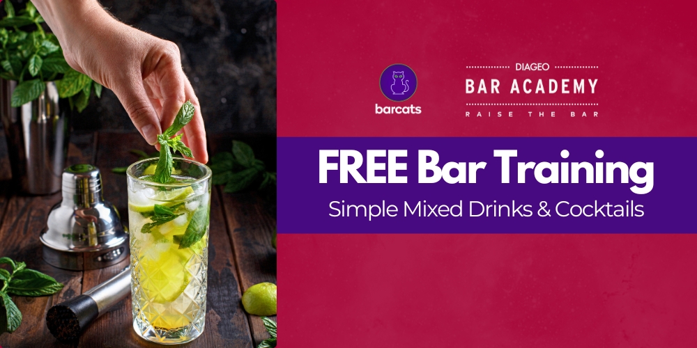 FREE BAR Training 2024 | Simple Mixed Drinks & Cocktail