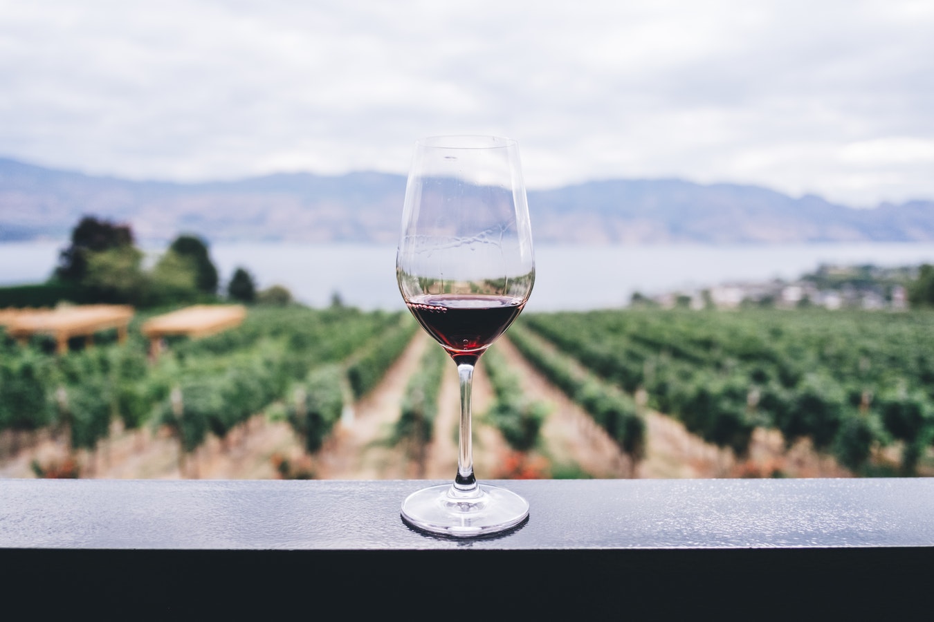 Love Thy New Zealand Wine