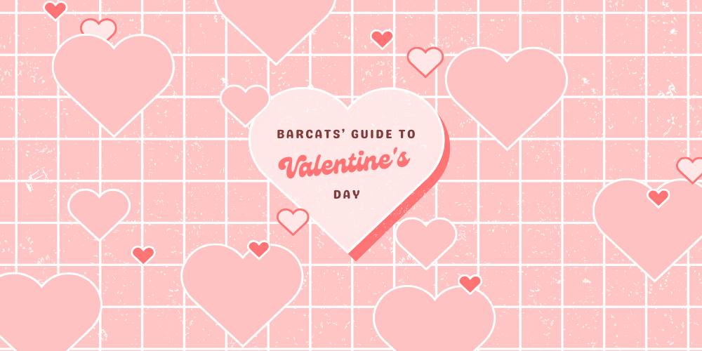 Barcats' Guide to Valentine's Day