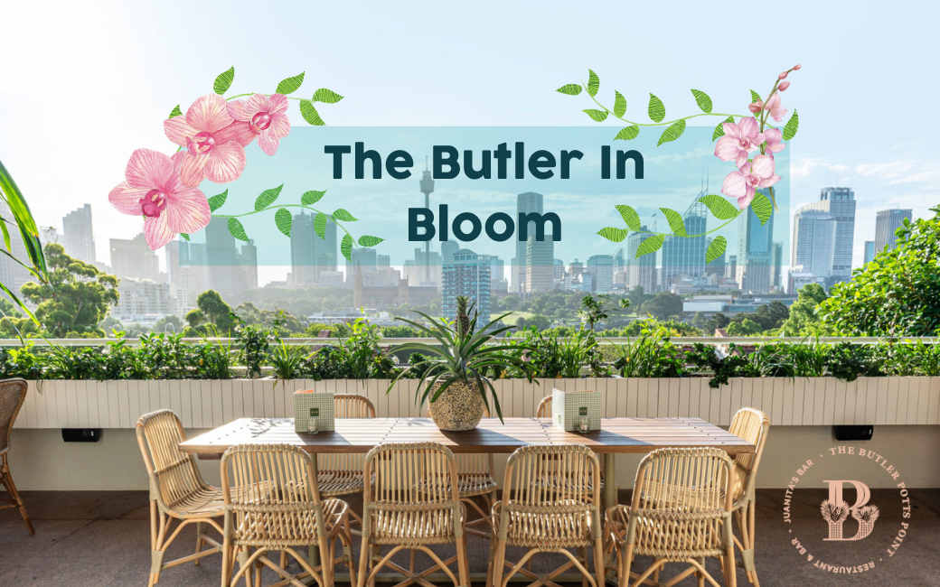 The Butler In Bloom is back for the fourth year in a row!