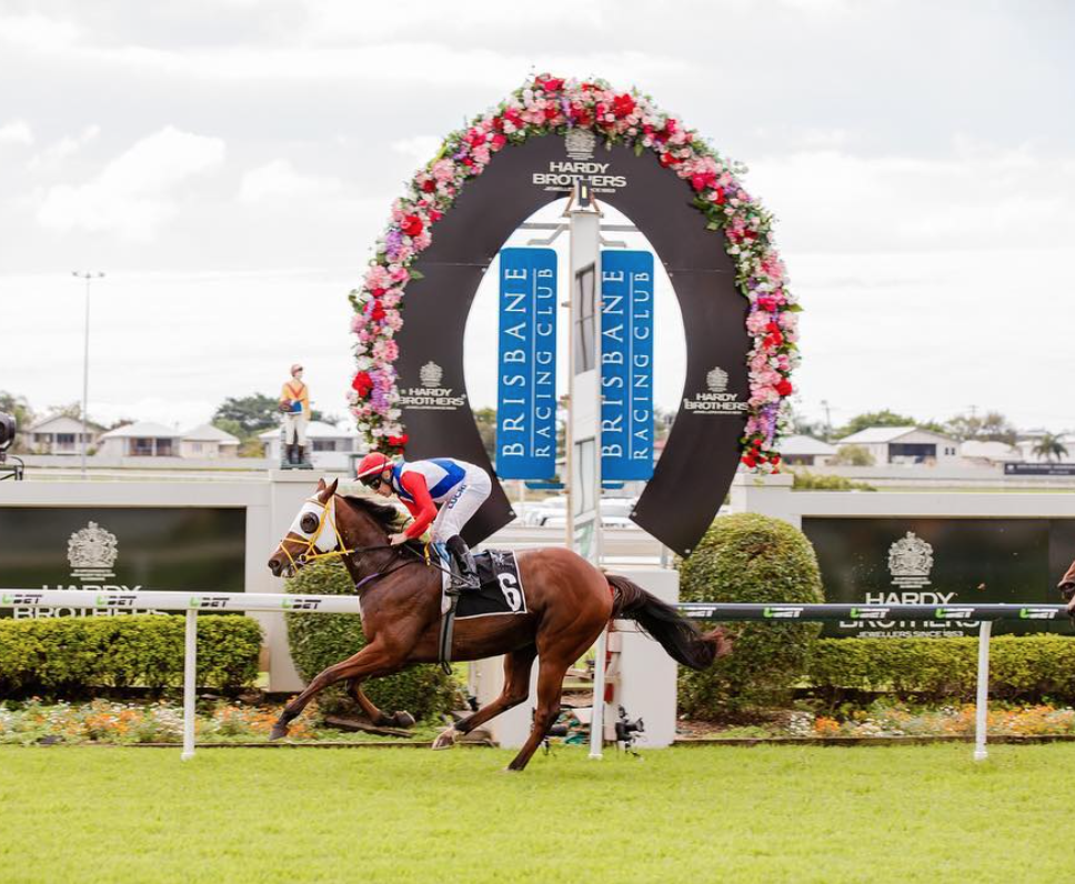 Mekka Wednesday (Ekka) Races | Brisbane Racing
