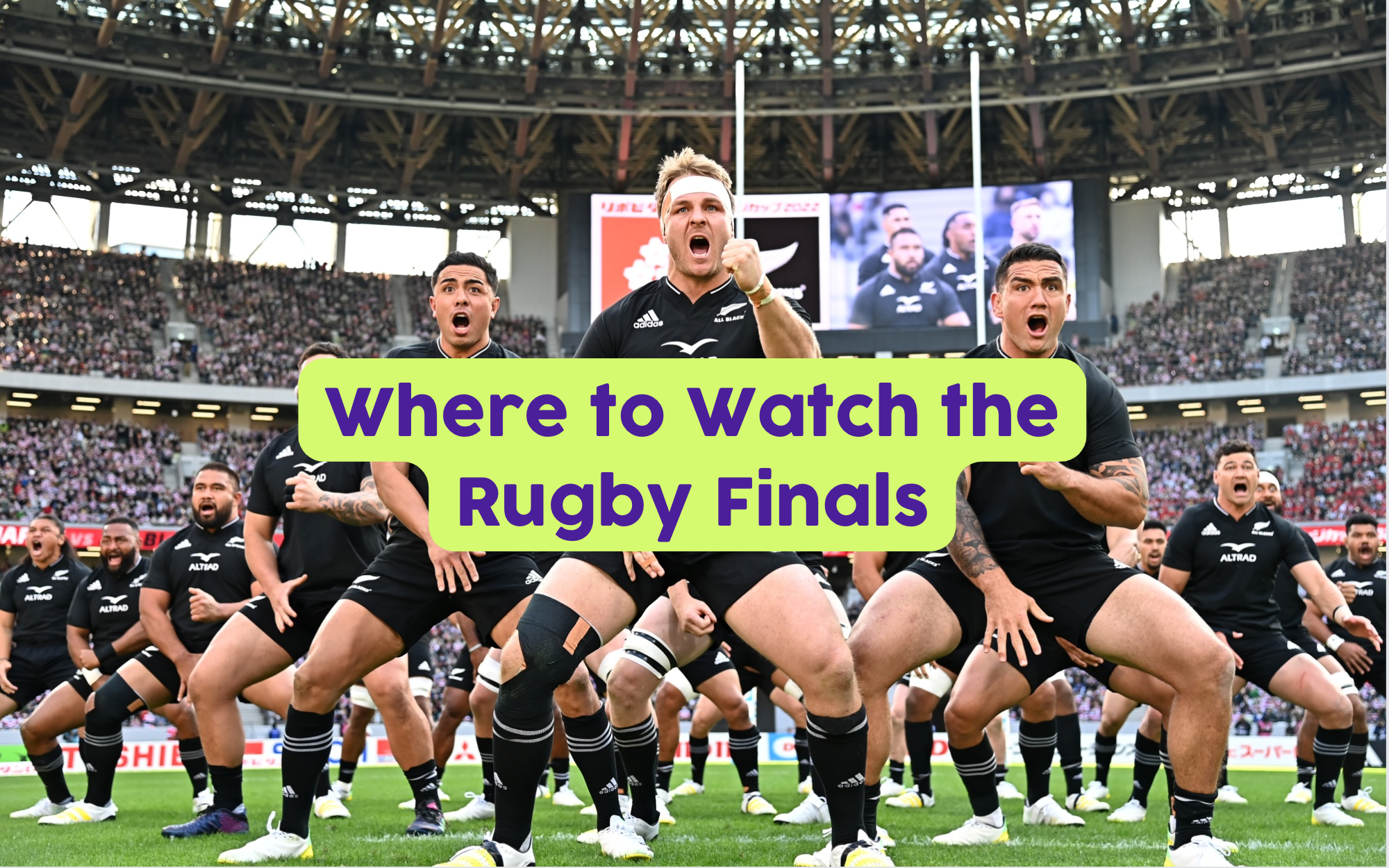 Where to Watch the Rugby World Cup