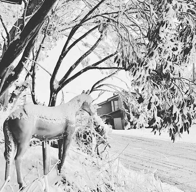 Apply now Chefs Required for Winter Season at Snow Pony Mt Buller